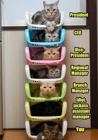 Photo courtesy of failblog.cheezburger.com